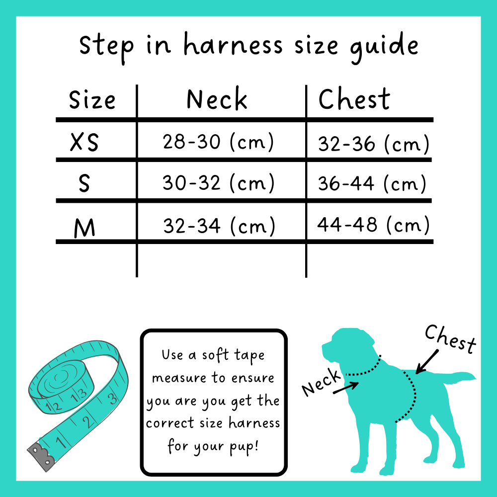 Midnight Polka Step In Harness