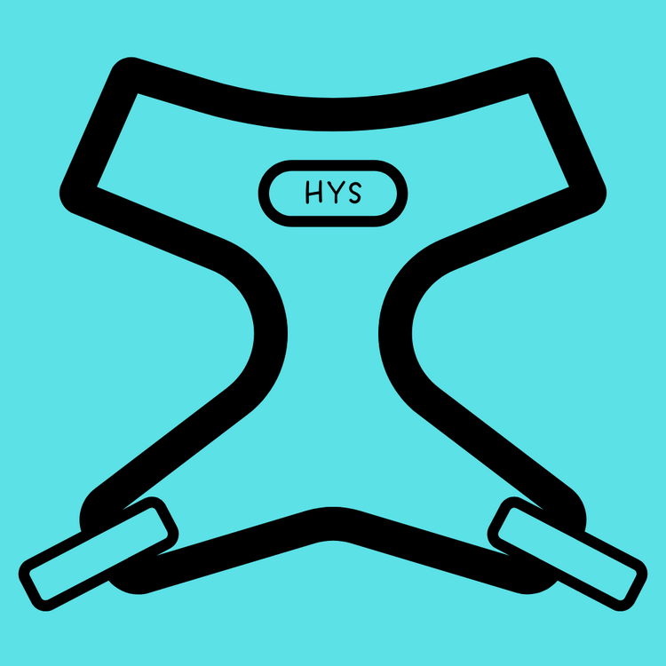 Adjustable Harnesses