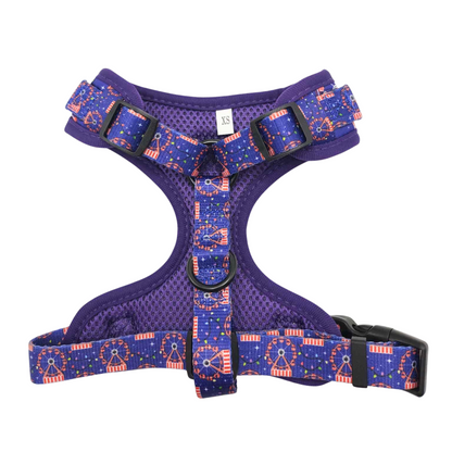 Ferris Wheel Adjustable Harness