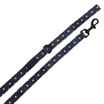 Midnight Polka Lead