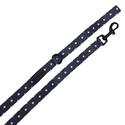 Midnight Polka Lead