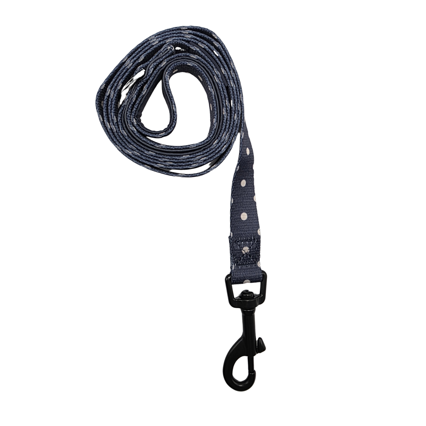 Midnight Polka Lead